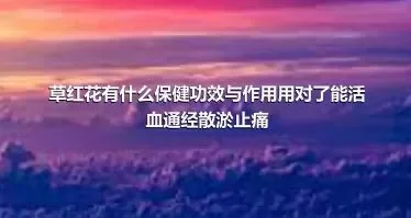 草红花有什么保健功效与作用用对了能活血通经散淤止痛