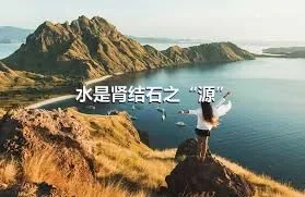 水是肾结石之“源”