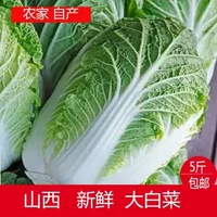 岚县白菜