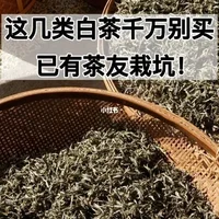 过坑茶叶