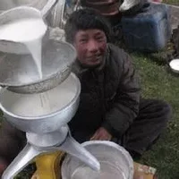 藏北奶制品