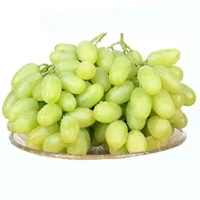 宣化白葡萄