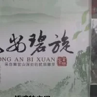 龙安碧旋茶