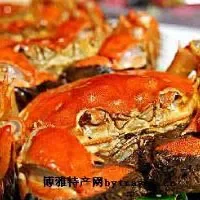 中华绒螯蟹