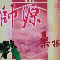 桑椹汁