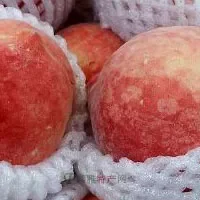 上海水蜜桃