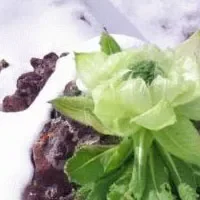 西藏雪莲花