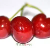 张湾汉江樱桃