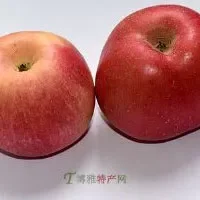 夏红苹果