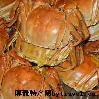 东平湖毛蟹