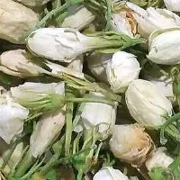 金华茉莉花茶