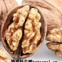 灵台薄皮核桃