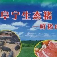 阜宁生态猪肉