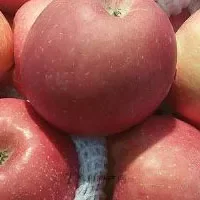 威海苹果