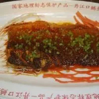 丹江口鳡鱼