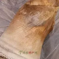 熊猫竹笋筵