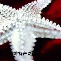 西藏珠宝首饰