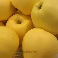 昭通金帅苹果