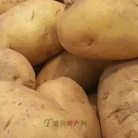 “刘桥牌”脱毒马铃薯