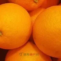 宜昌红橙