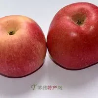 阿克苏苹果