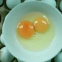 无公害鸡蛋