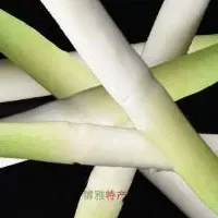 缙云茭白