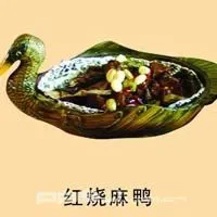 红烧麻鸭