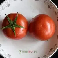 青铜峡番茄