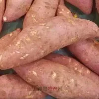 潘庄红薯