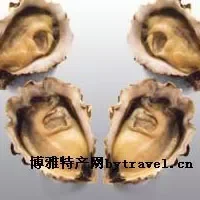 台湾牡蛎
