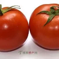 “绿音符”西红柿