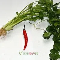 鱼香菜