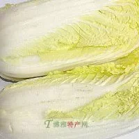 丰都轿子山白菜