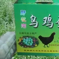 马龙乌鸡蛋