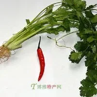 芜湖芝麻香菜