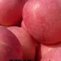 栖霞红富士苹果
