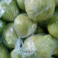 漳南文旦柚