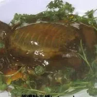 黄焖甲鱼