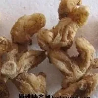 连州黄精