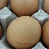 劳山土鸡蛋
