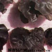 三爪仑黑木耳