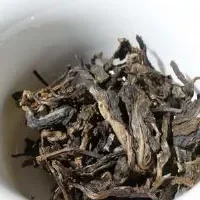 易武大叶茶