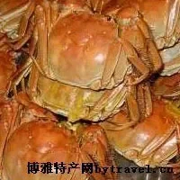 清蒸湖蟹