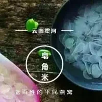 滇皂荚