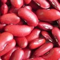 康保红芸豆