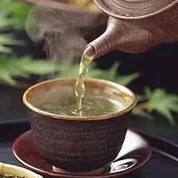 “强木都”茶