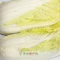 泰安黄芽白菜