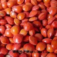 南宁红豆