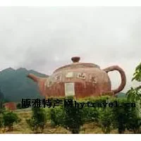 西岩山茶